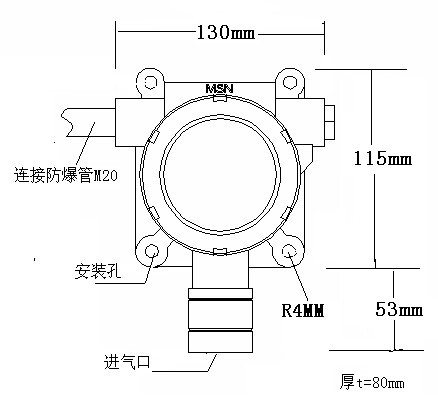 工业气体探测器